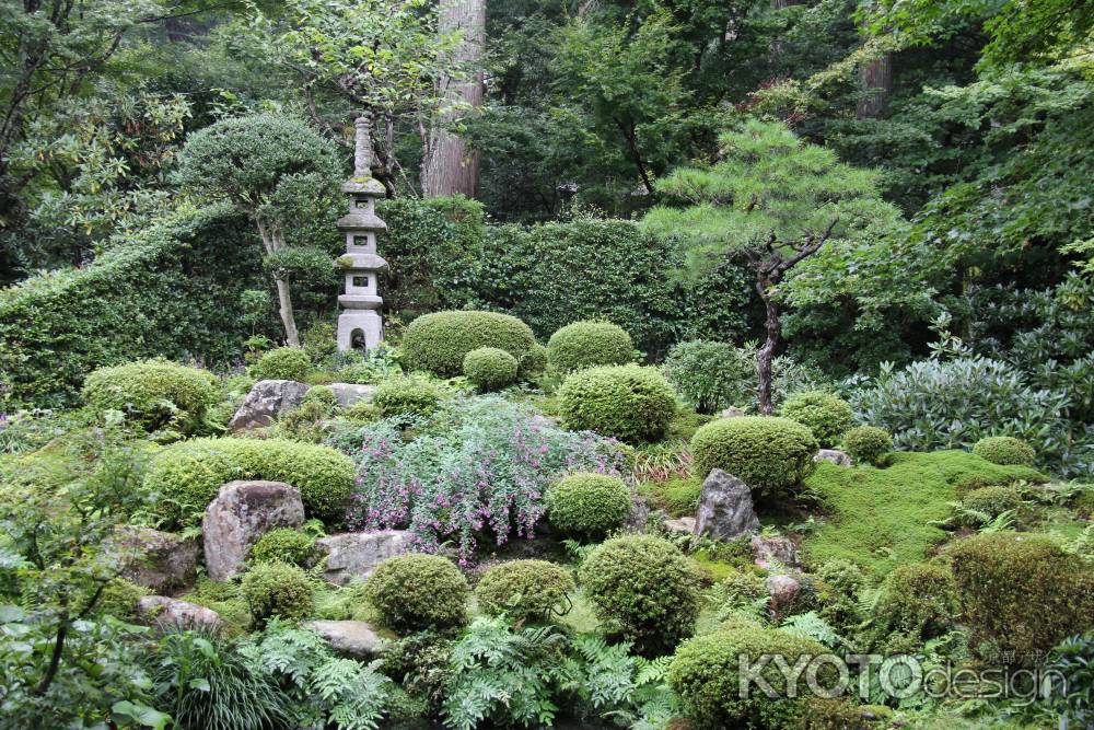 秋の大原　三千院③