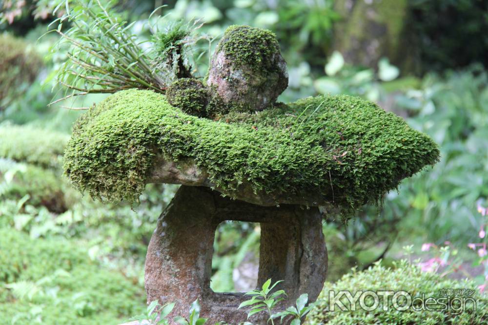 三千院 苔の灯籠