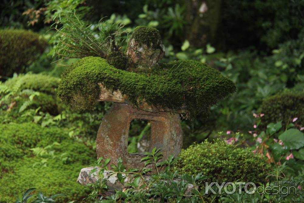 秋の大原　三千院⑤