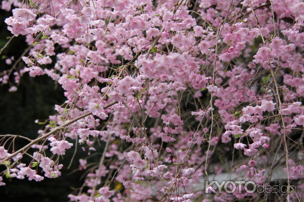 八神社　③