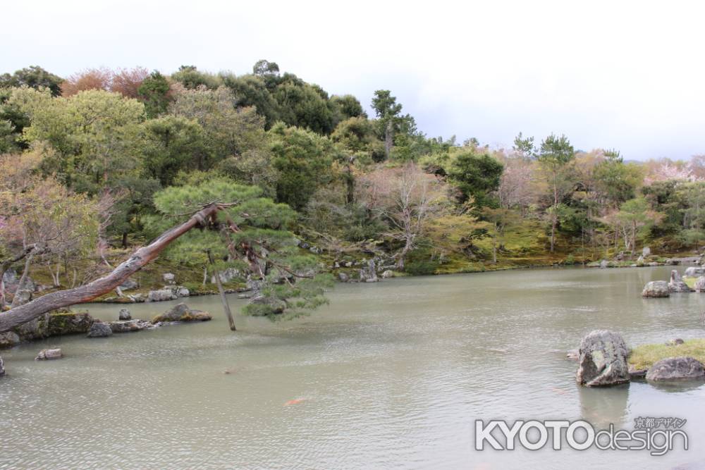 天龍寺　⑤