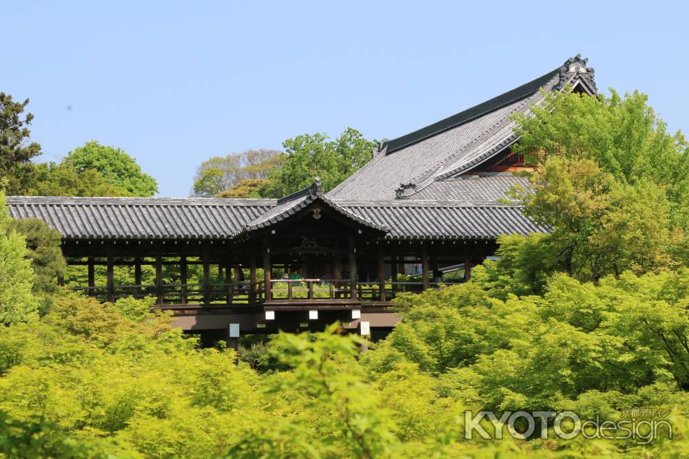 新緑の東福寺　③