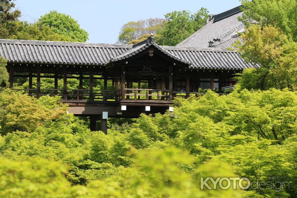 新緑の東福寺　⑦