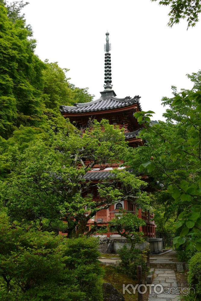 三室戸寺 多宝塔