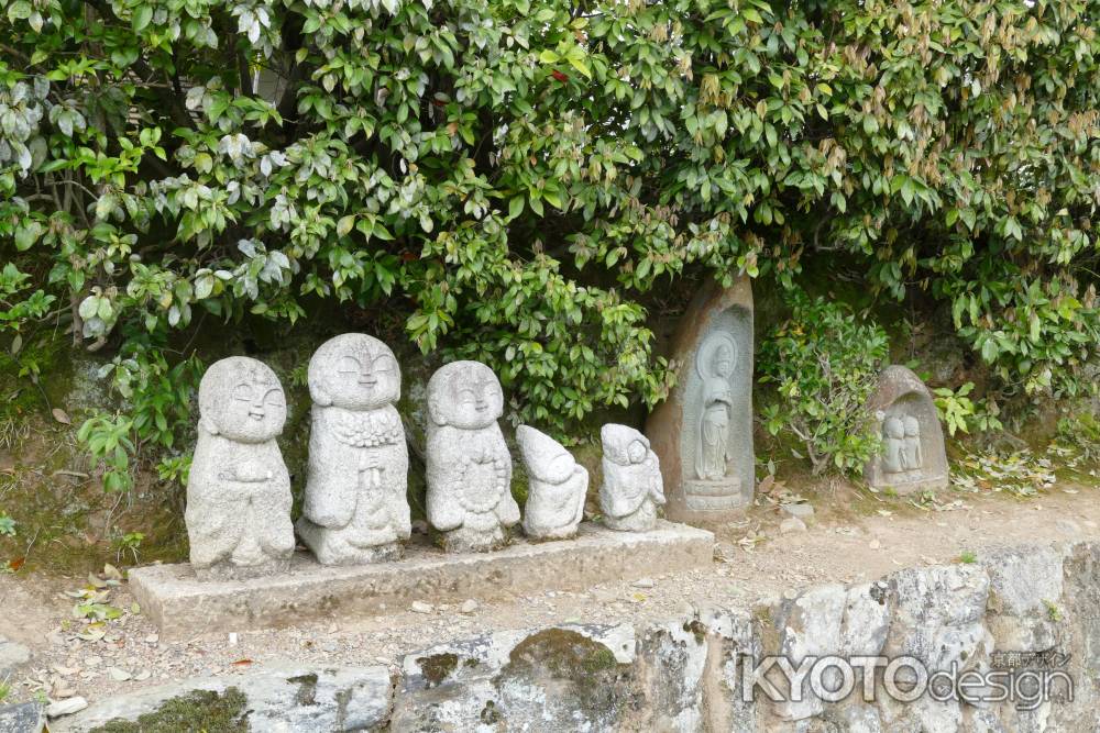 天龍寺前観光道路で発見