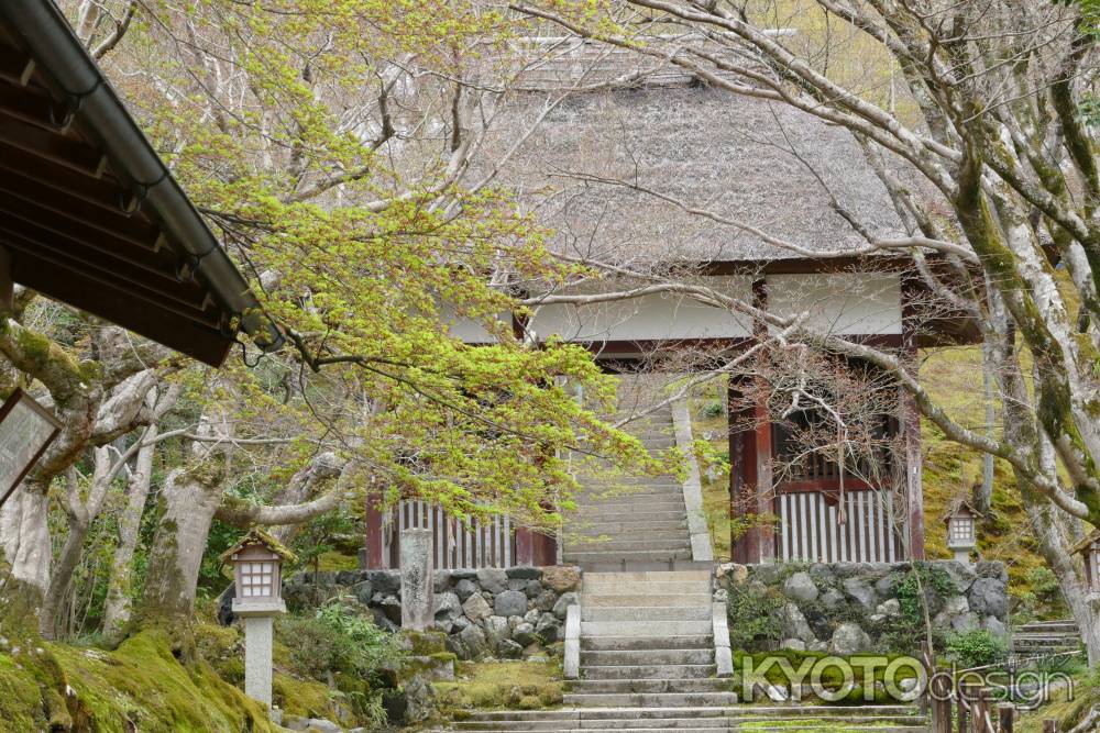 嵯峨野・常寂光寺2