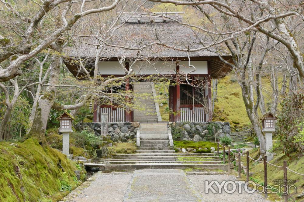 嵯峨野・常寂光寺3