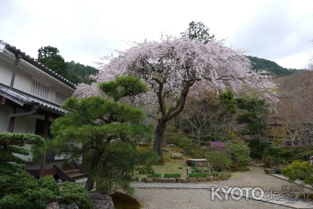 嵯峨野・常寂光寺5