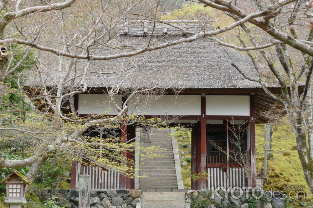 嵯峨野・常寂光寺8