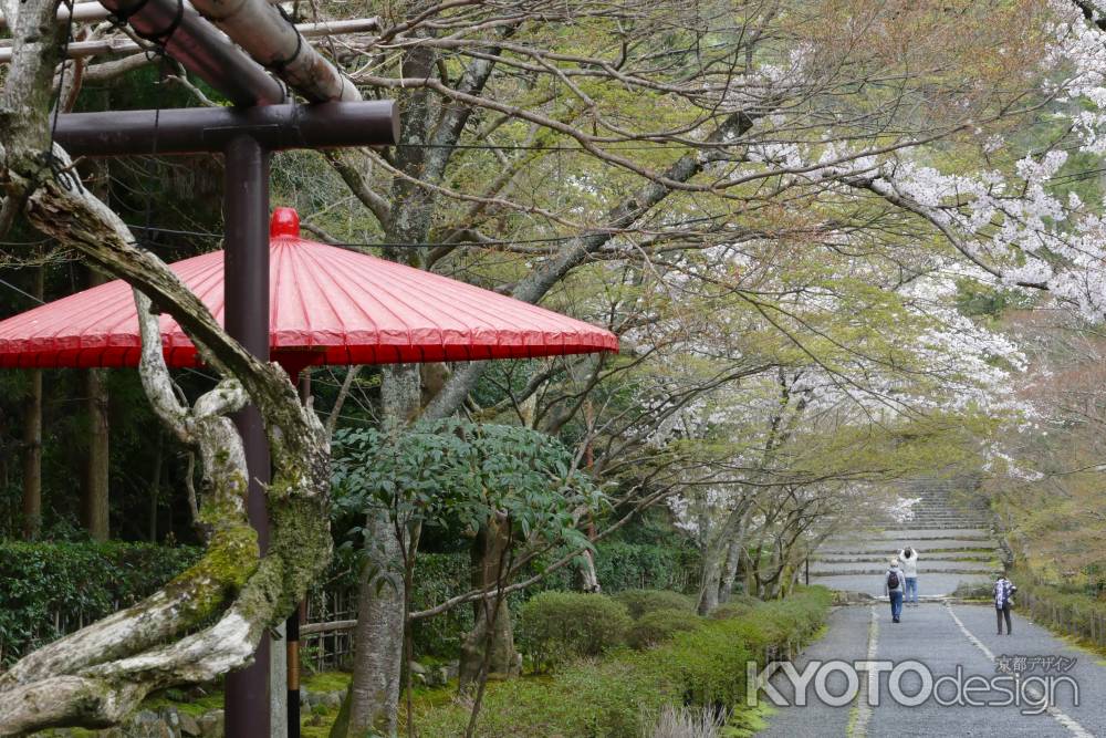 嵯峨野・二尊院4