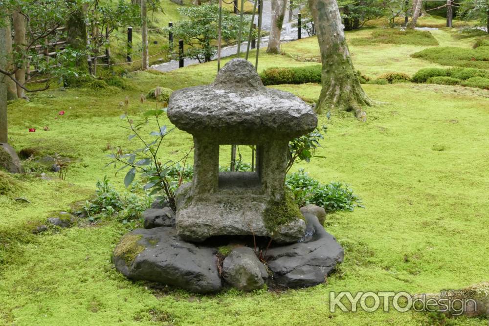 嵯峨野・祇王寺5