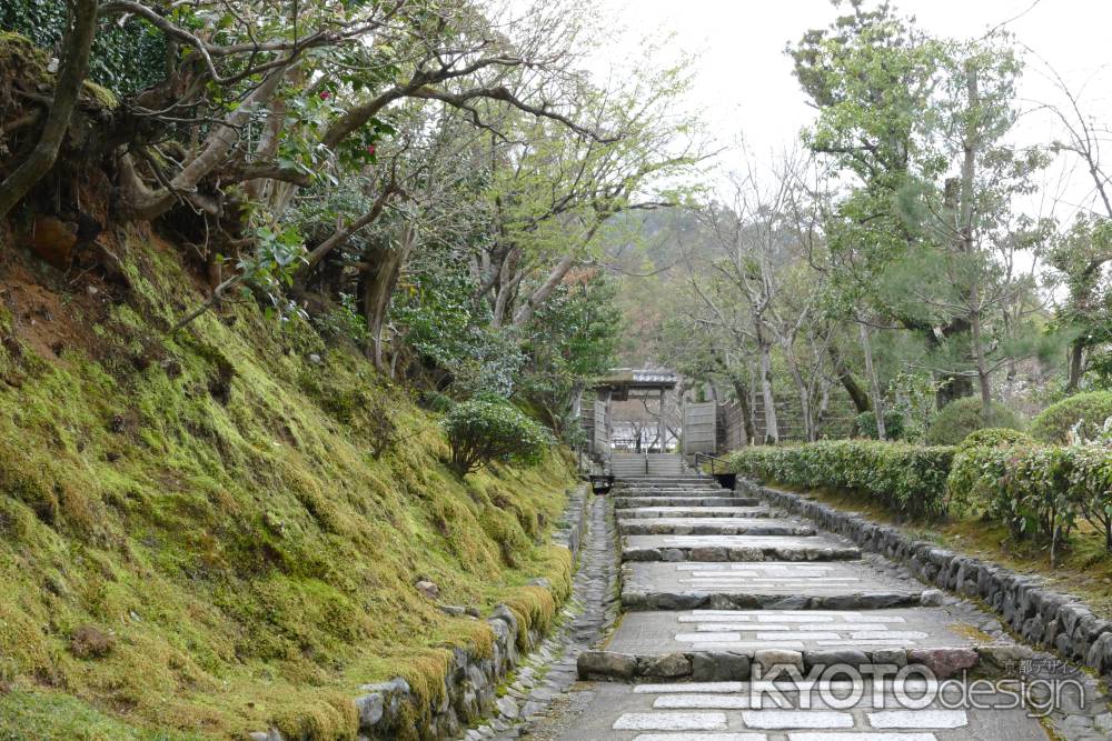 嵯峨野・化野念仏寺2