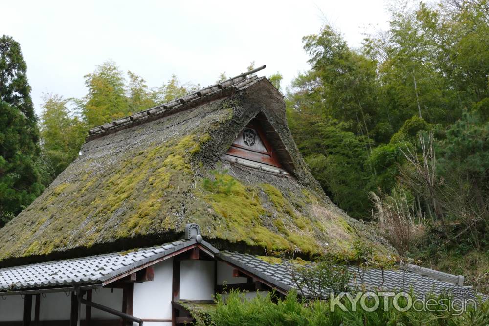 嵯峨鳥居本3