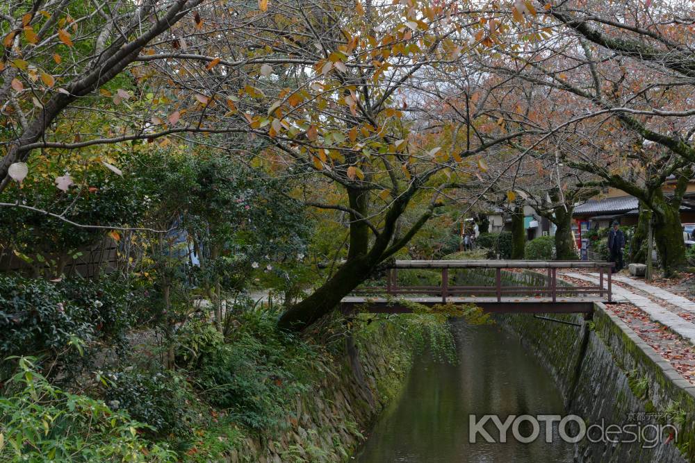 秋・哲学の道