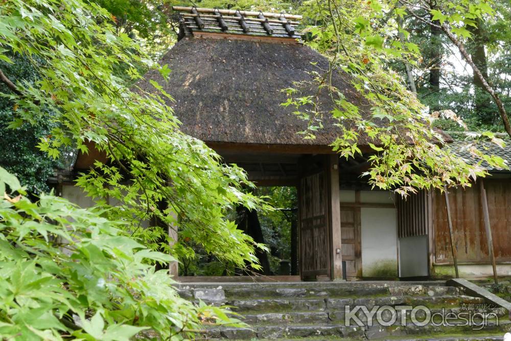 法然院山門と紅葉