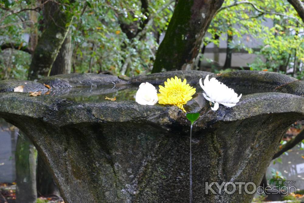 法然院「善気水」