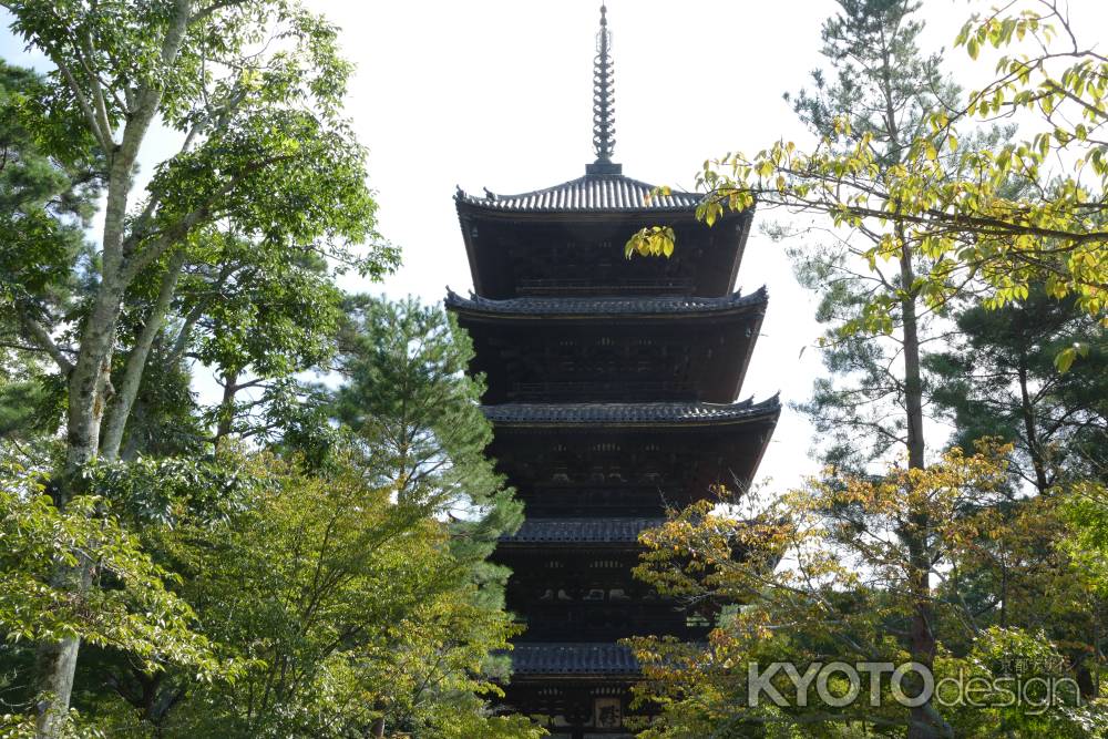 御室八十八ｹ寺 参拝7