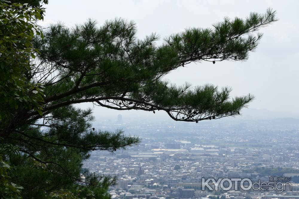 御室八十八ｹ寺　参拝15