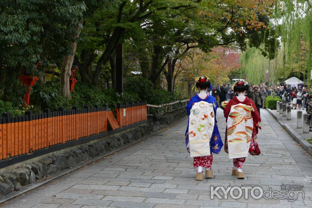 [かにかくに祭]  舞妓はん