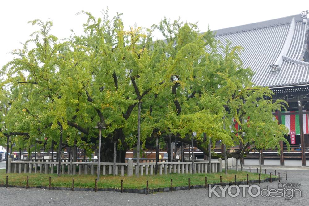 世界遺産　西本願寺2