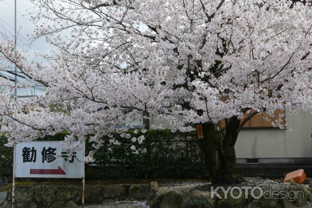 山科　勧修寺21