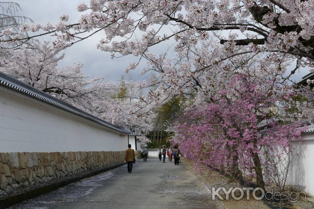 山科　勧修寺22