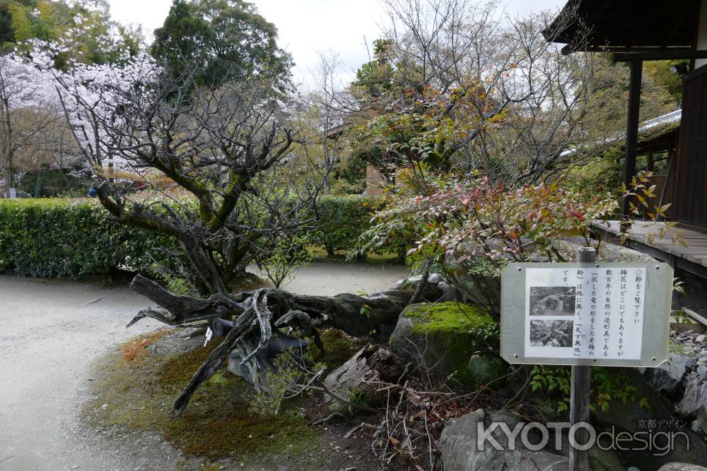 山科　勧修寺16