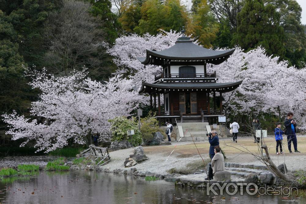 山科　勧修寺13