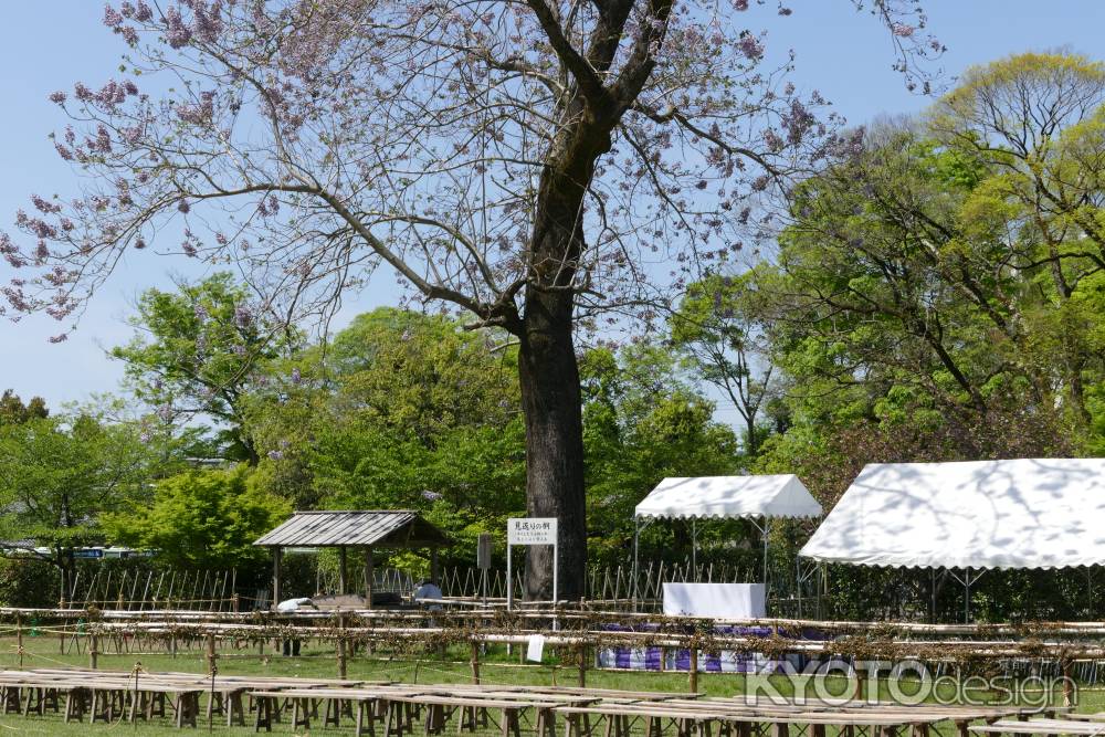 上賀茂神社4