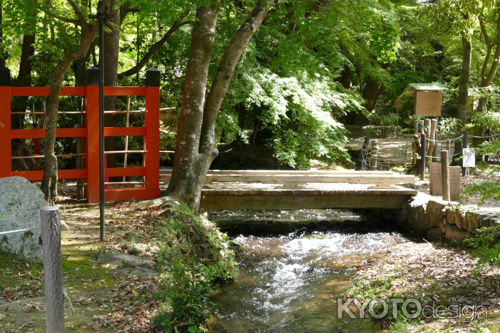 上賀茂神社5