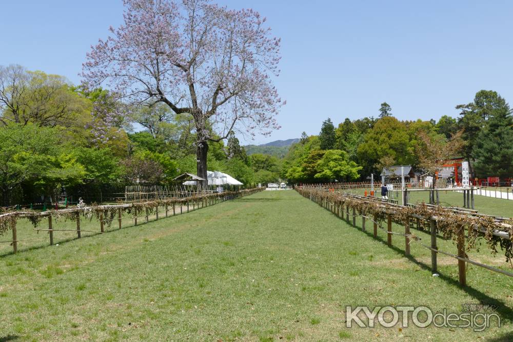 上賀茂神社24