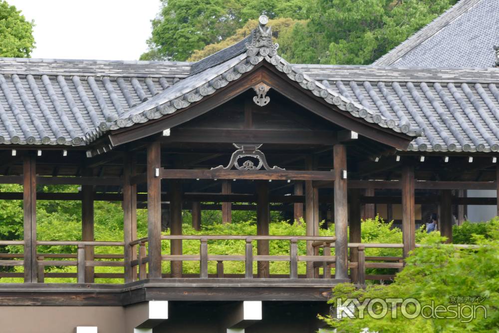 新緑の東福寺