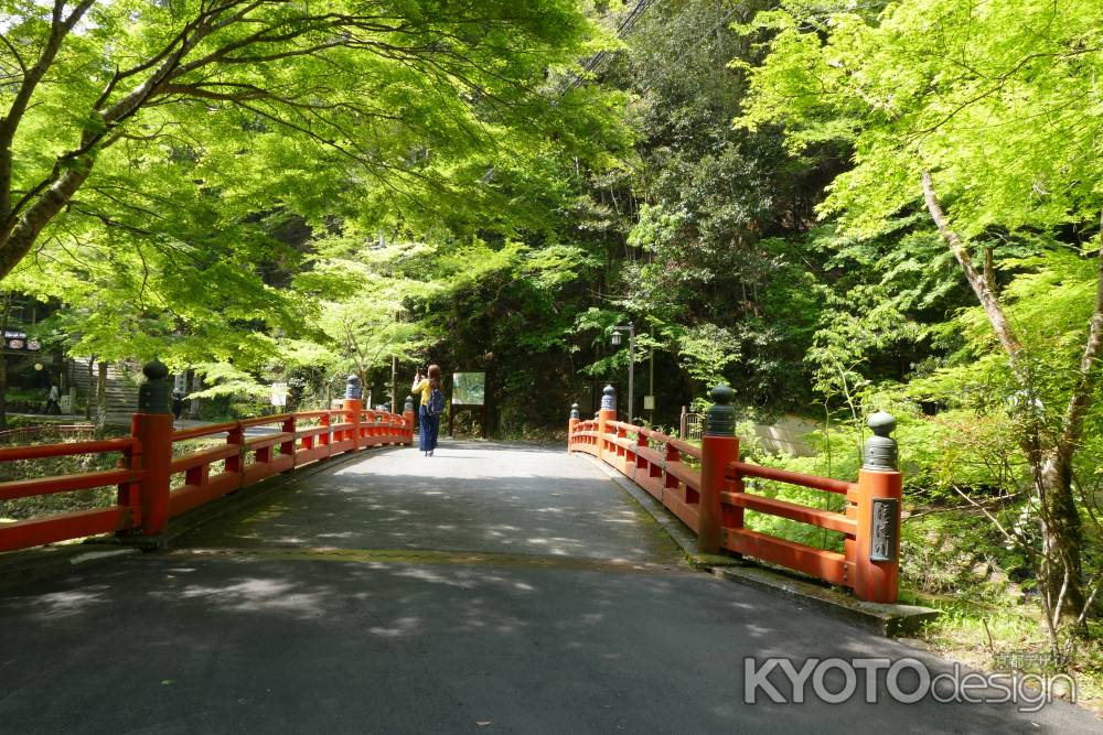 高雄山　神護寺2