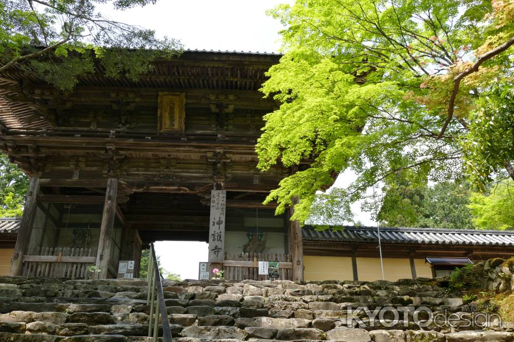 高雄山　神護寺10