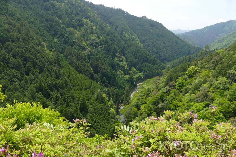 高雄山　神護寺5