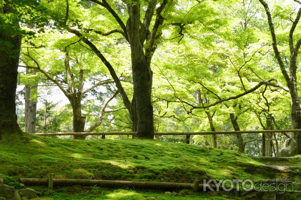 高雄山　神護寺3