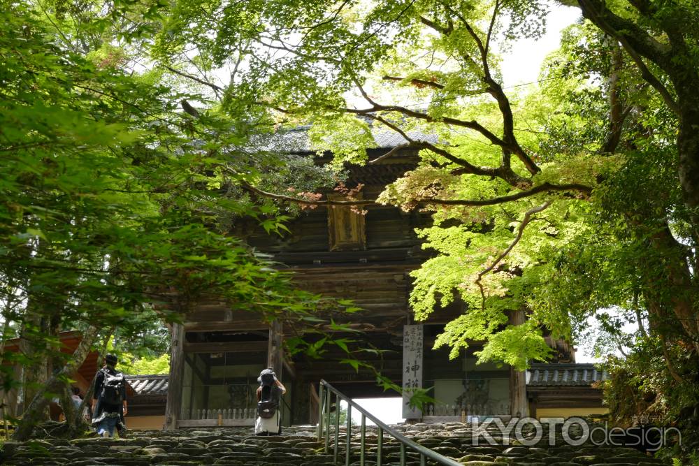 高雄山　神護寺2