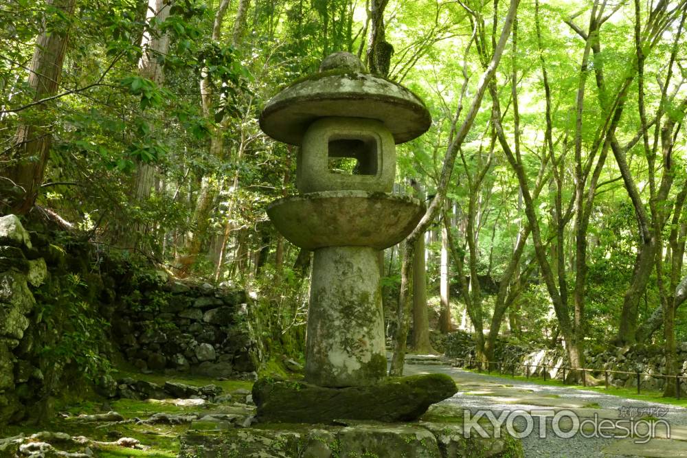 世界遺産　高山寺