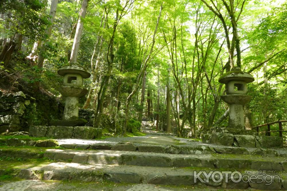 世界遺産　高山寺2