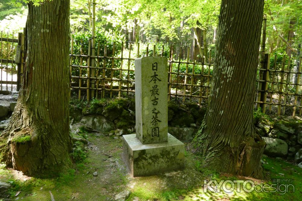 世界遺産　高山寺3