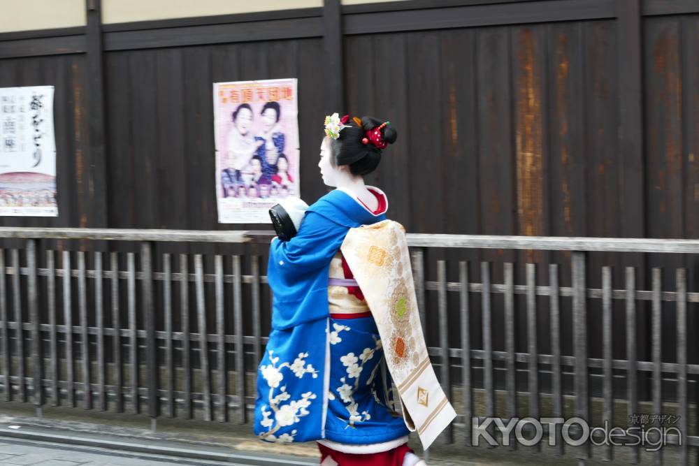 花見小路 舞妓さん