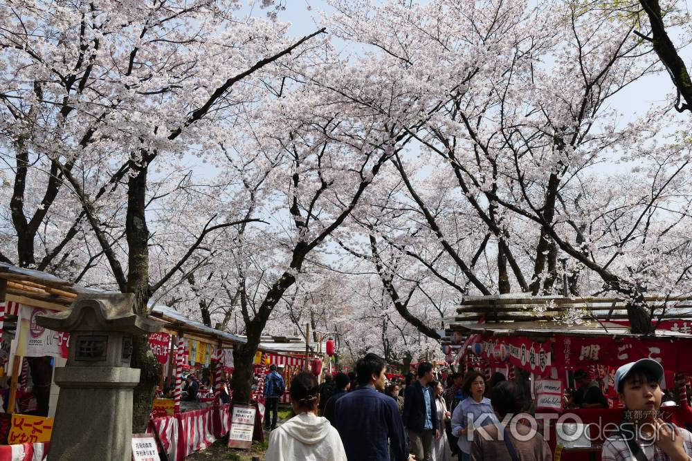 京都平野神社2