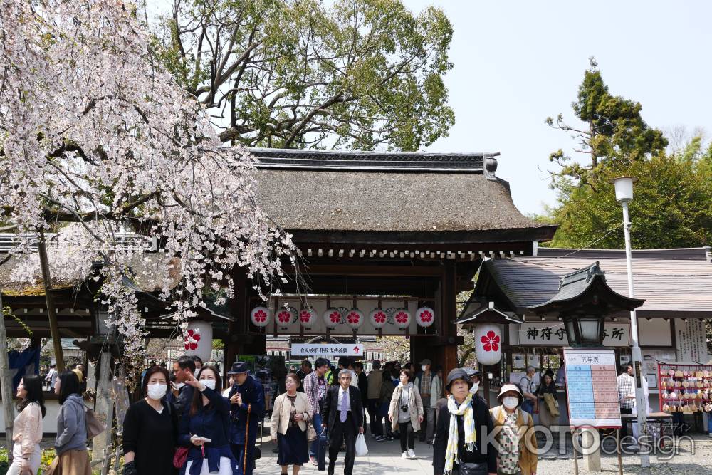 京都平野神社4