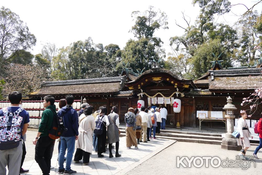 京都平野神社7