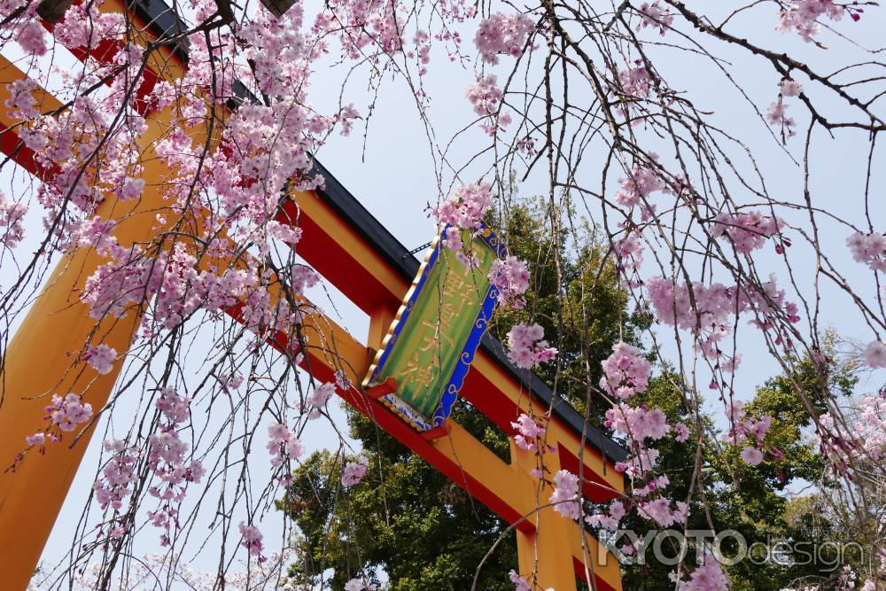 京都平野神社