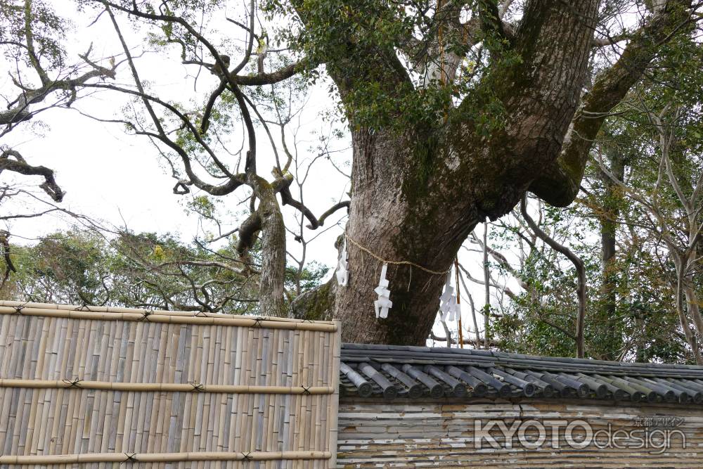 石清水八幡宮