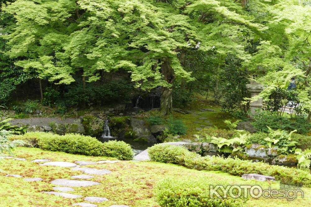 旧三井家下鴨別邸　木立に包まれて