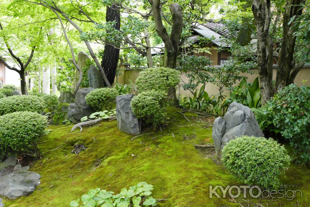 八坂の塔（法観寺）