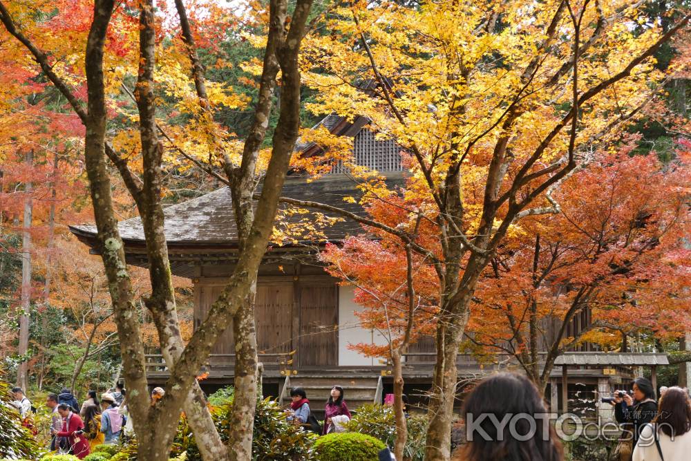 大原三千院2