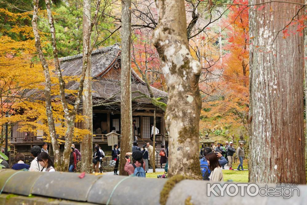 大原三千院12